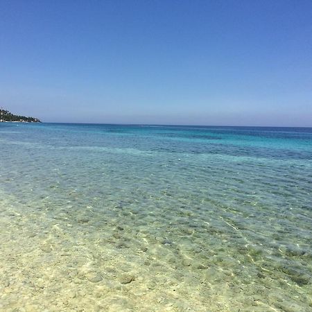 Oslob Garden Stay Beach Resort Bagian luar foto