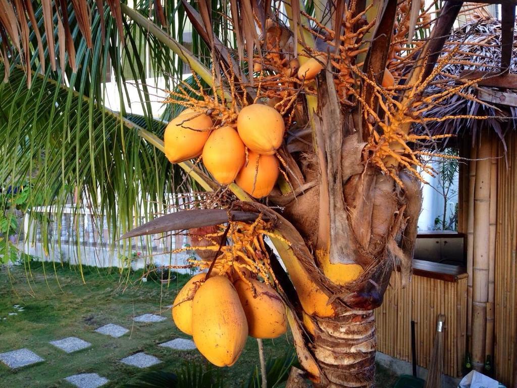 Oslob Garden Stay Beach Resort Bagian luar foto