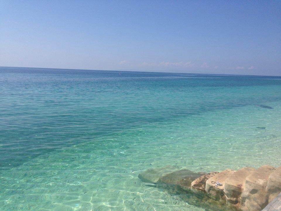 Oslob Garden Stay Beach Resort Bagian luar foto